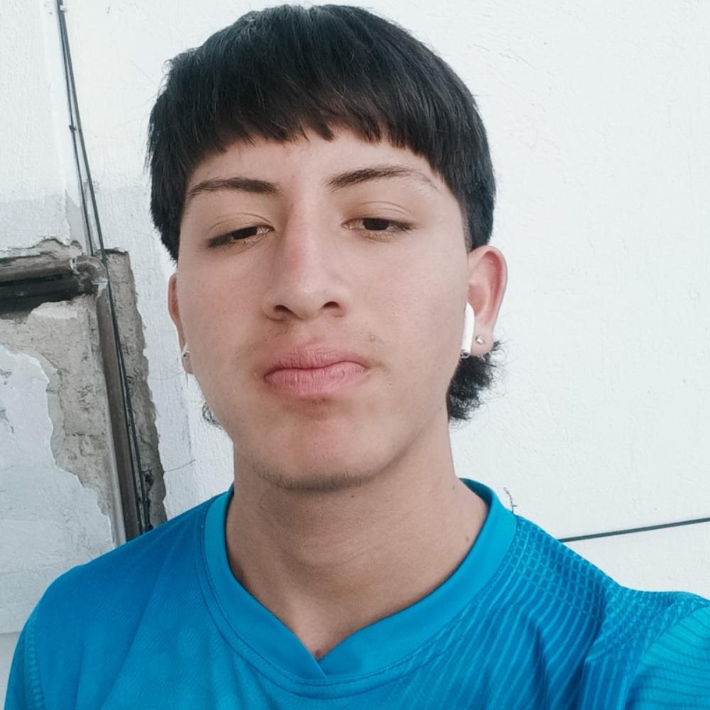 User Image