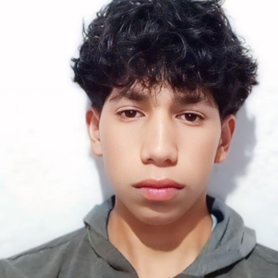 User Image